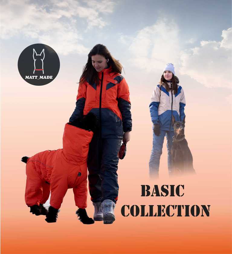 Basic коллекция
