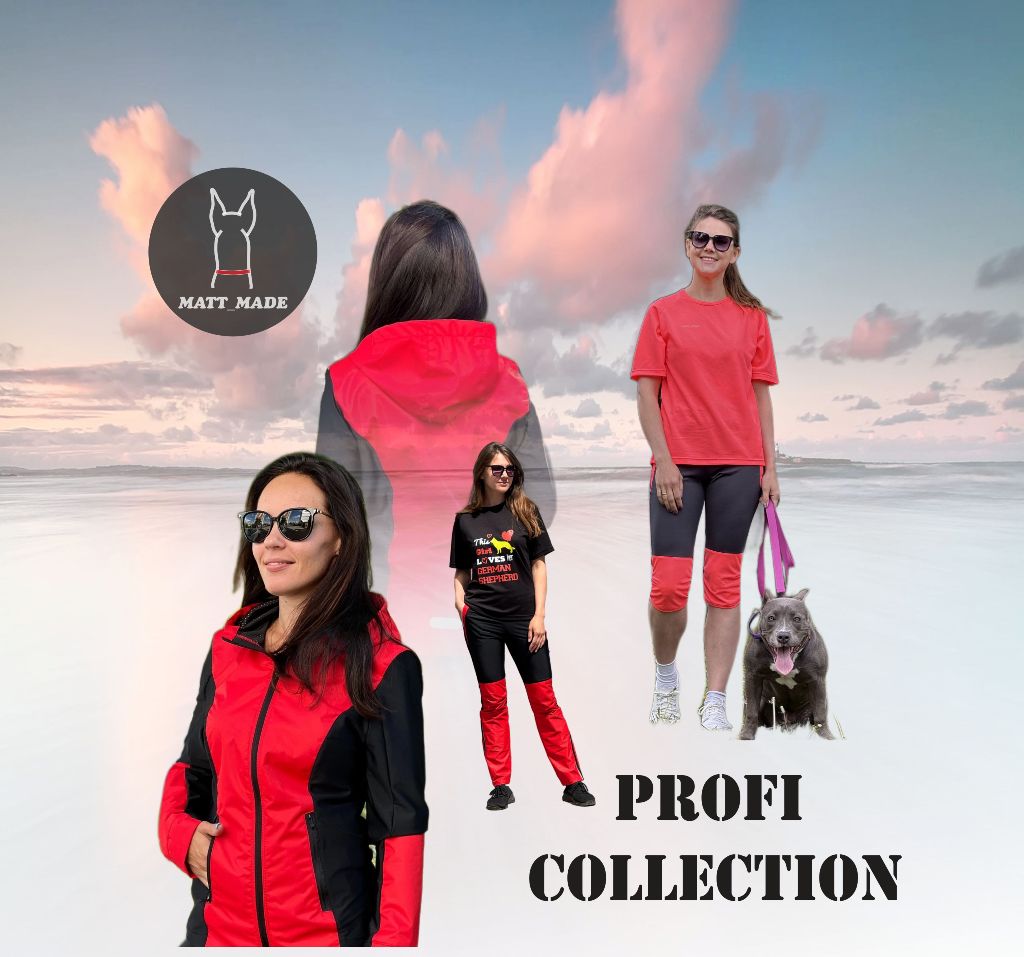 Profi