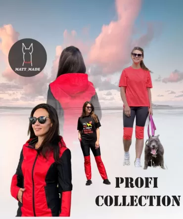 Profi